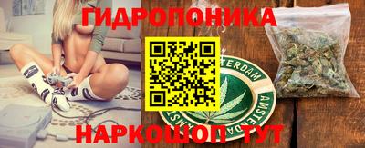 стаф Бузулук